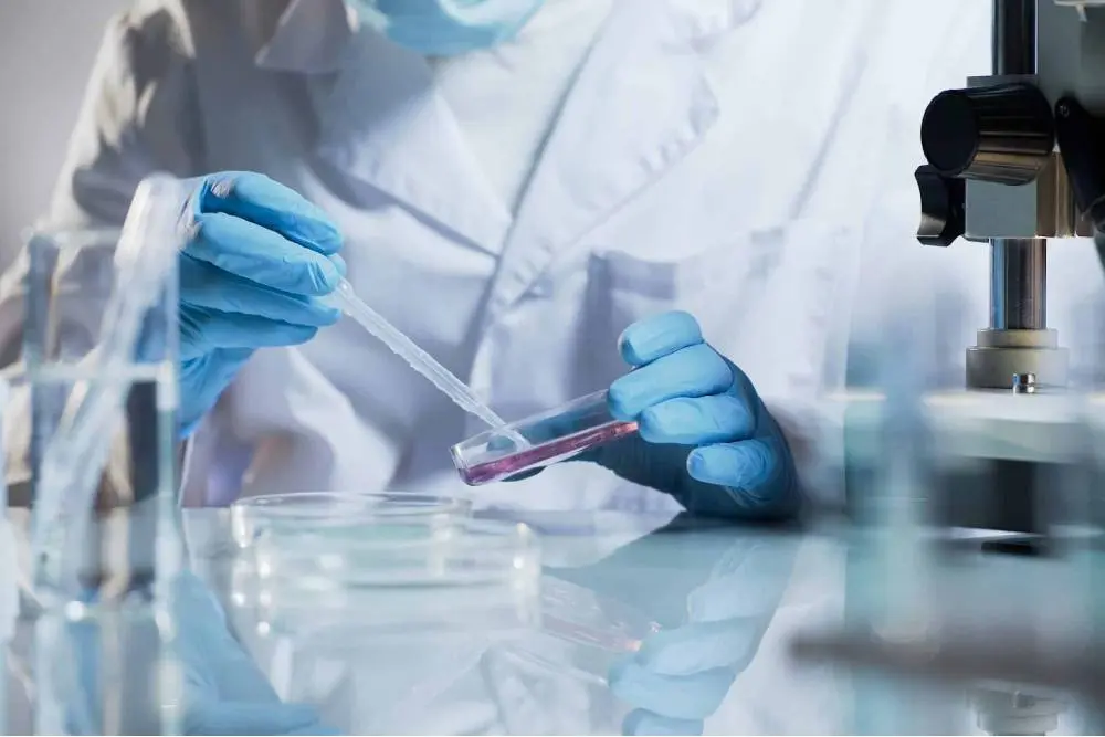 Quartz Petri Dish | High Purity Fused Silica for UV & High-Temp Applications 3 医药