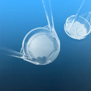 Two identical quartz wafer dipping baskets, showing their sturdy construction and handle design, ready for use in wet processing.